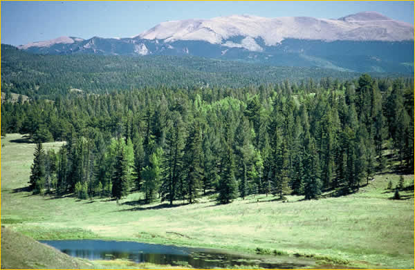 Pikes Peak
