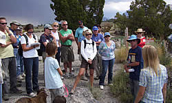 Scholar group in the field