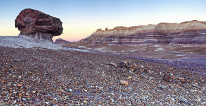 Petrified National Forest