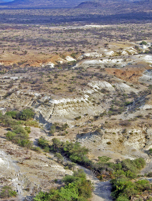 Oltulelei Formation, Behrensmeyer et al.