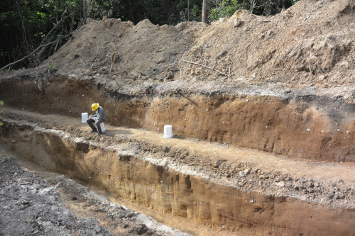 Reelfoot fault