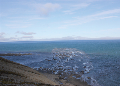 Barents Sea