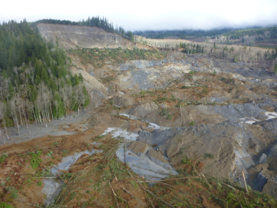 Oso Landslide by Stephen Slaughter