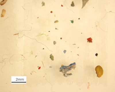 microplastics