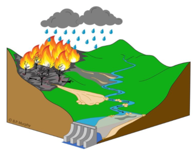 post-wildfire graphic