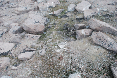 Cape Irizar bones and guano