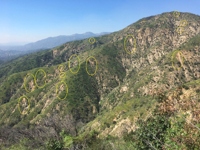 San Gabriel Mountain