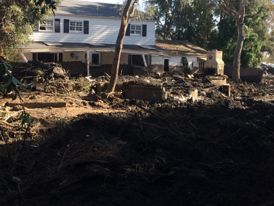 tree and house