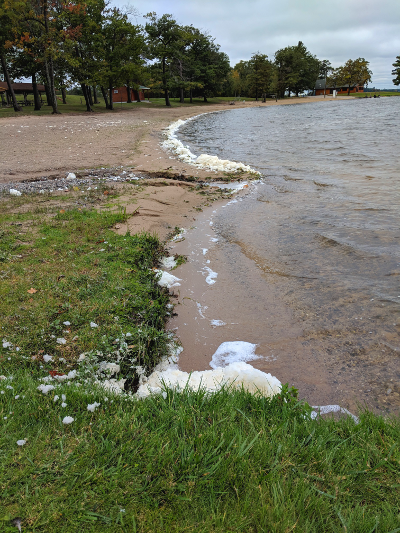 Yellow-brown foam washes up on the sandy shore of a lake in Michigan, with green grass and trees around the brownish lake water
