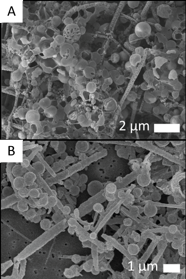 Nims et al Figure