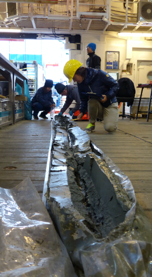 (On board the research vessel) A woman in a yellow hard hat kneels next to the muddy gray sediment core, drilled from the seafloor below. She holds a clipboard and is examining the sediments as scientists in the background work on sampling, putting muddy samples into plastic bags.