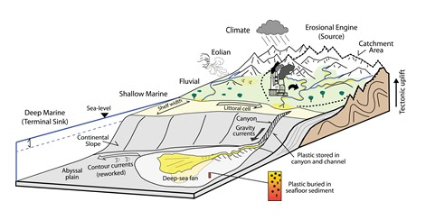 Deep-sea plastic pollutants