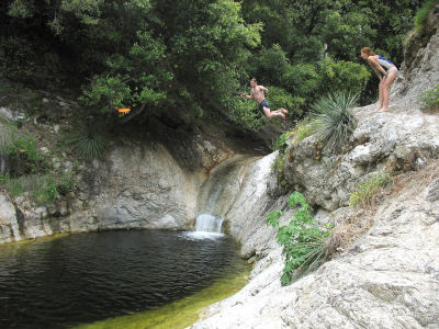 people jumping into a pond