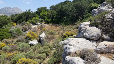 Sangri Valley Marble