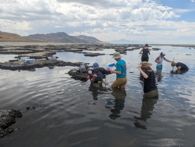 Frantz students at Great Salt Lake