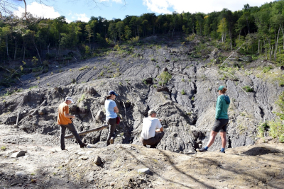 Cotton Brook Landslide