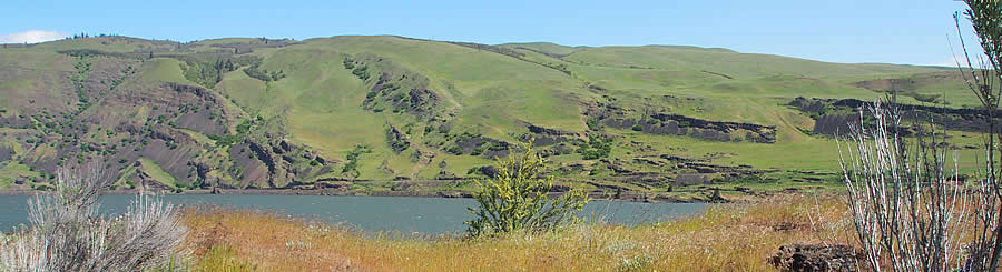 Columbia River Basalts