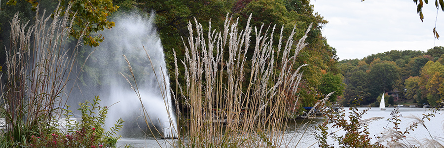 A fountain shoots water into the air over a lake with a sailboat in the background and grasses in the foreground.