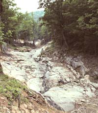 streambed