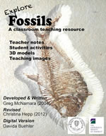 Fossils