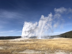 Old Faithful erupting