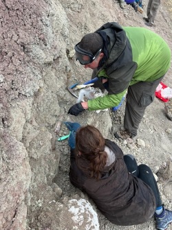 Field team members on site