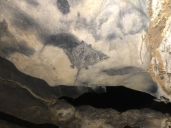 Sting ray cave art