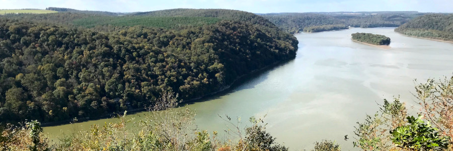 A water-worn sandstone slab protrudes into a river with trees on the far bank.