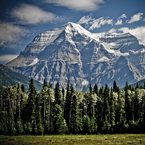 A snowy striated mountain peak with trees in the foreground.